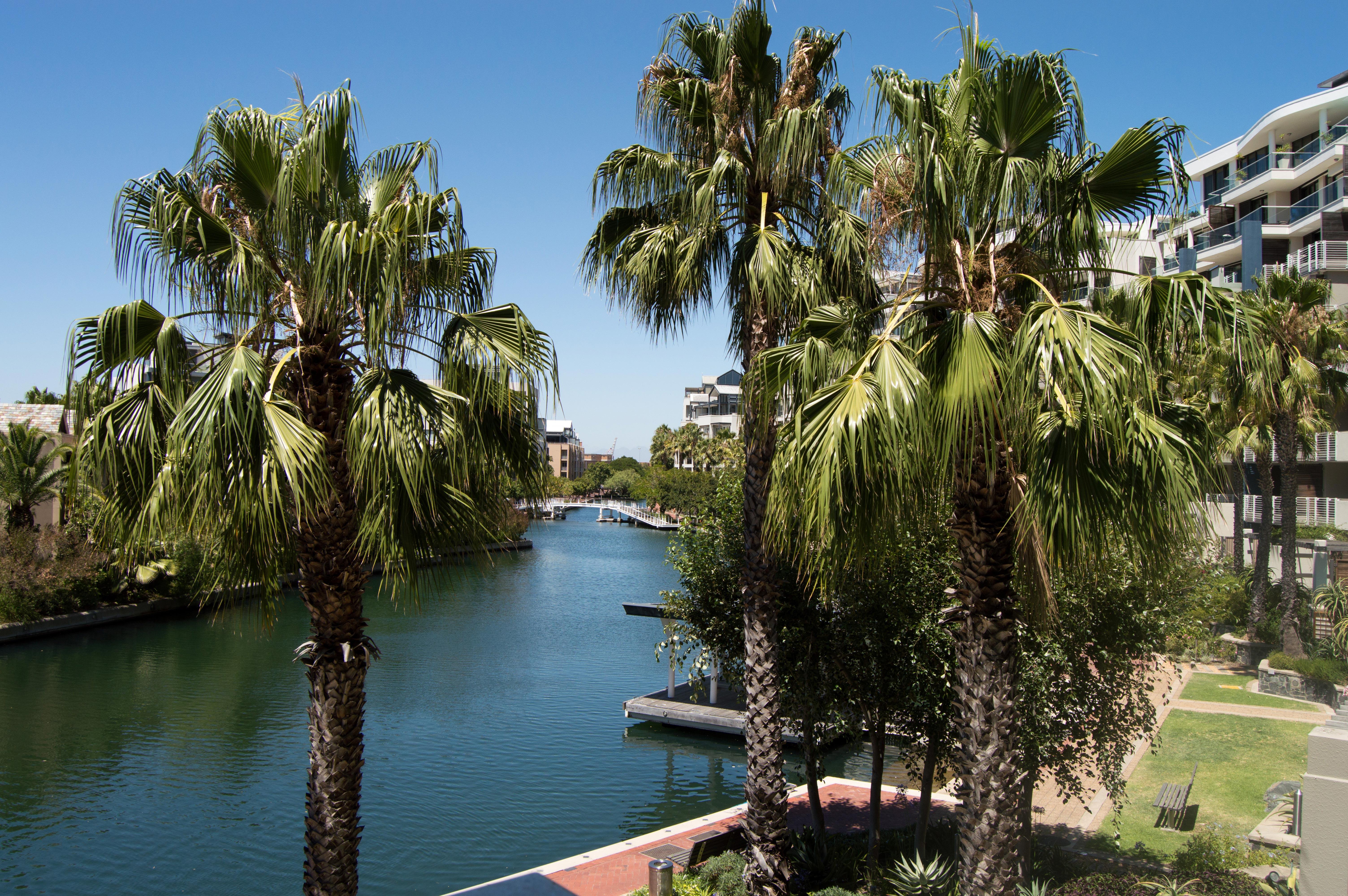 Waterfront Village Cape Town Bagian luar foto